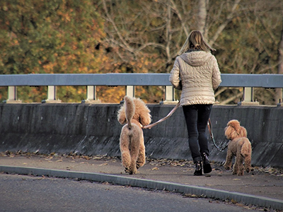 smart watches with fitness tracking