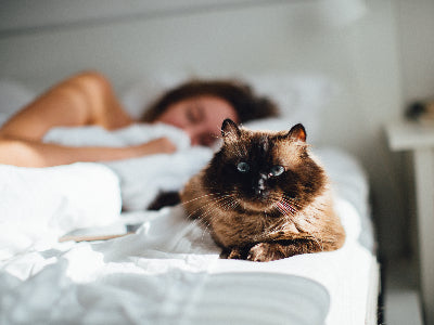 Healthy Sleep Habits