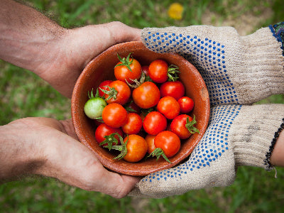 Tomatoes And Health
