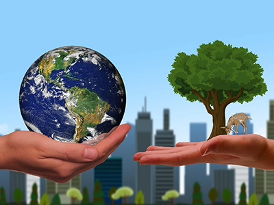 weight watchers login