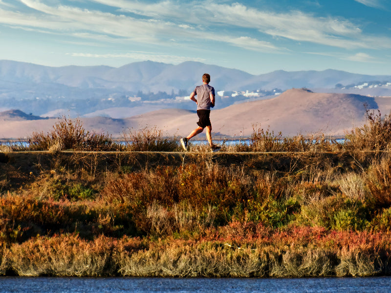 Exercise Recommendations: High Blood Pressure vs. Normal Blood Pressure