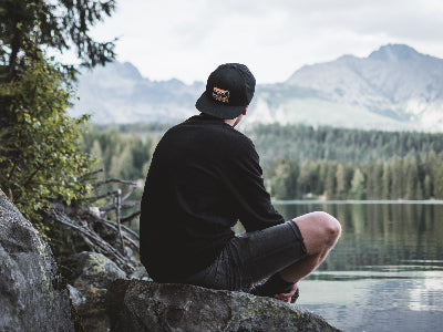 Wellness While Seated